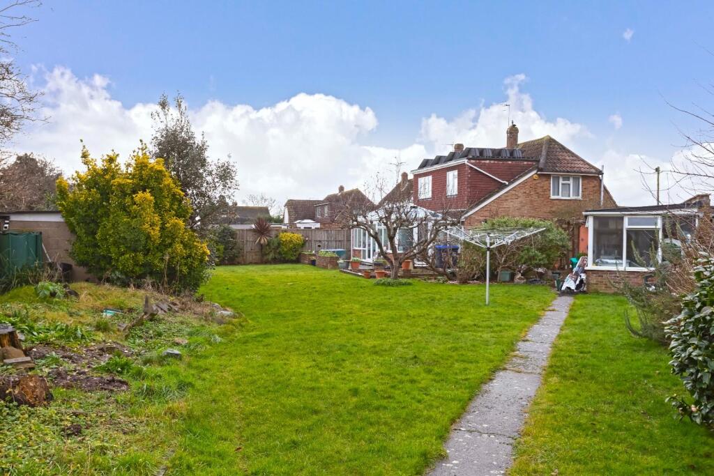 Hammy Close_12.jpg