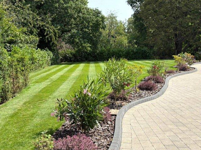 Grounds
