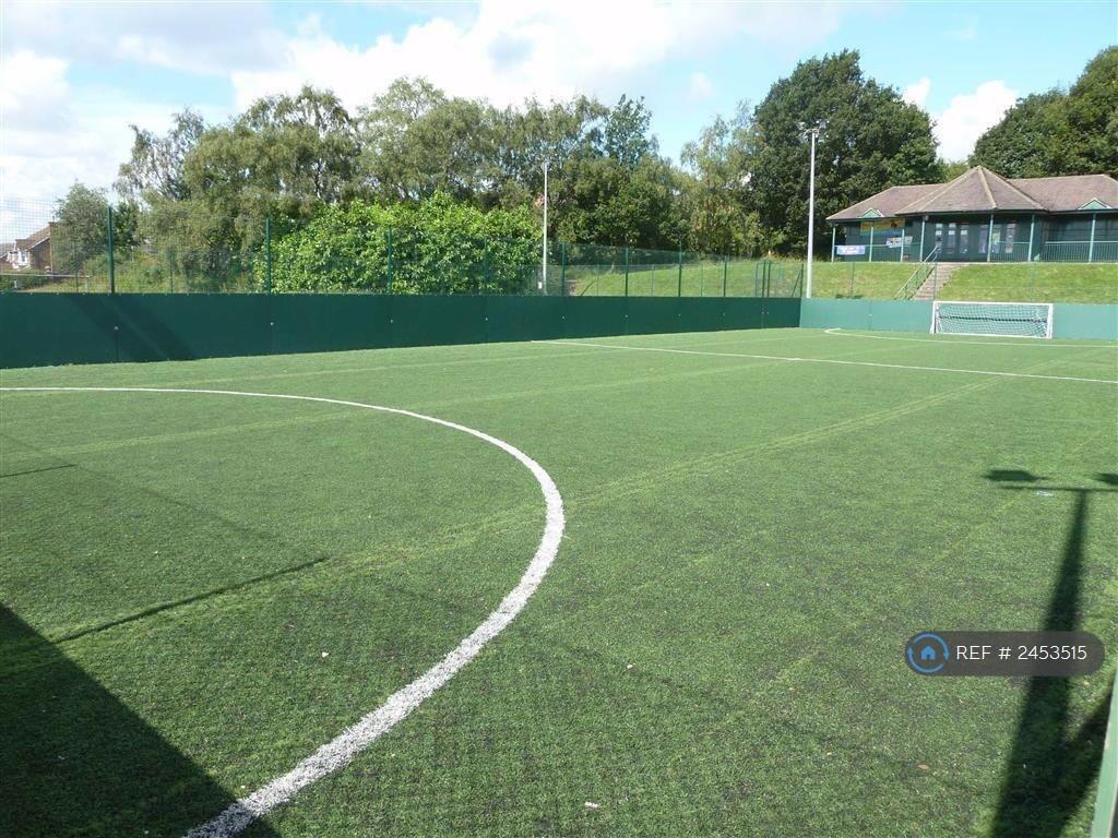 Astro Turf