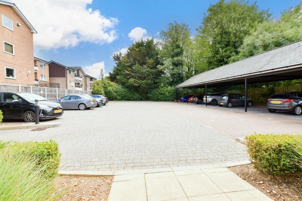 Driveway/Parking
