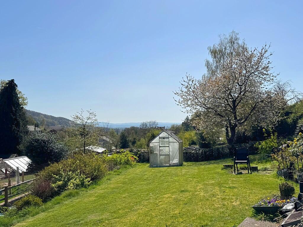 Garden 1