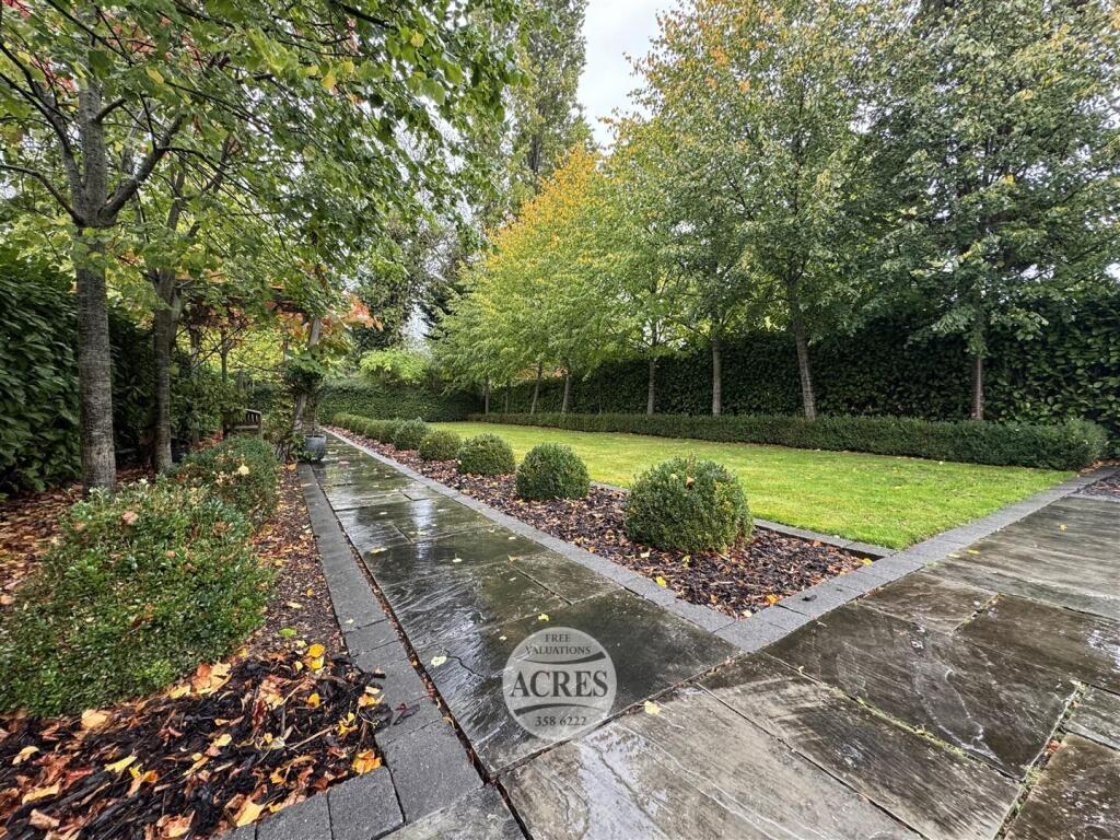 IMG_8360 (Large).jpg