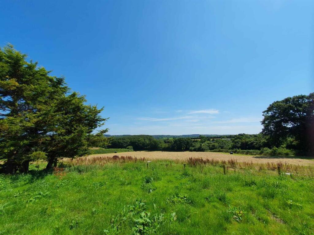 Back Garden and View