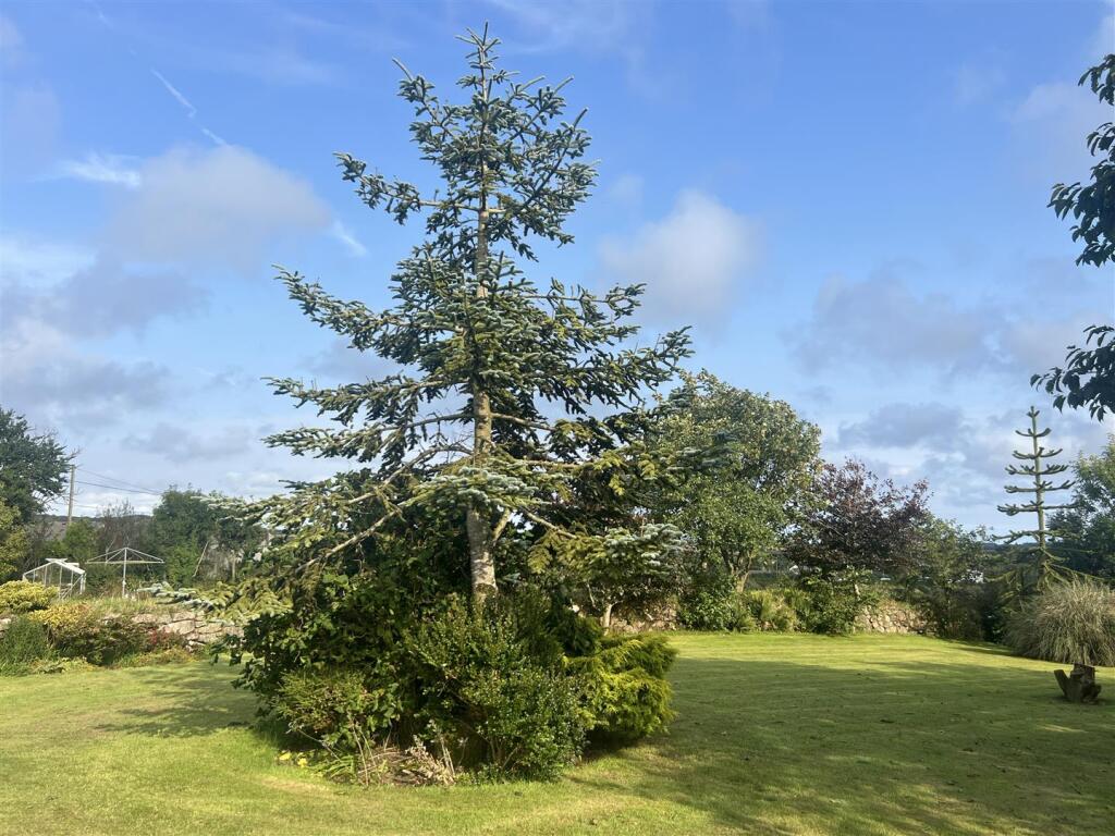 Elevation, Gardens, Garages &amp; Sheds