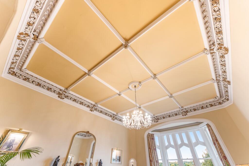 Ceiling Feature