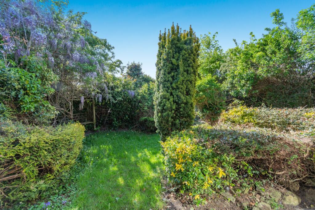 Garden to rear