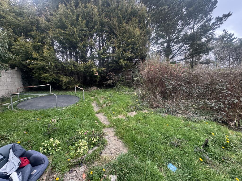 IMG 7558 T202503261635.jpeg