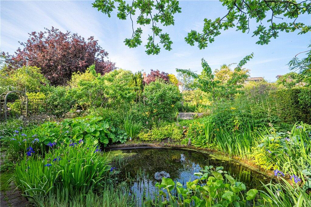 Pond