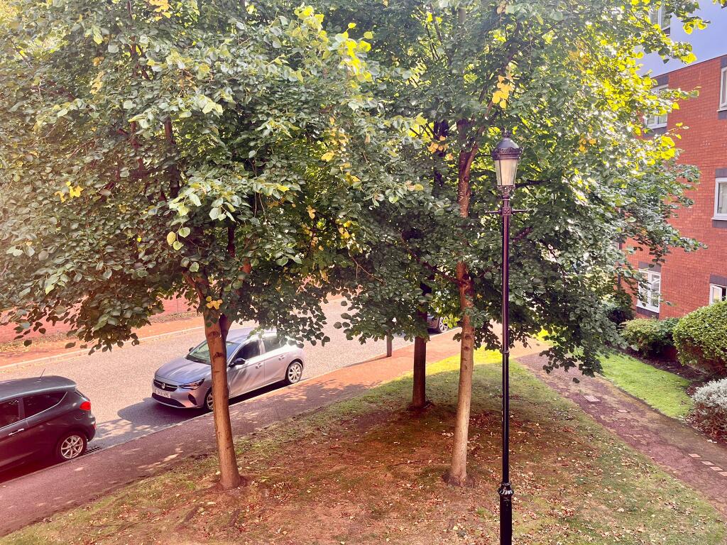 PHOTO-2025-08-13-11-51-10 T202508181742.jpg