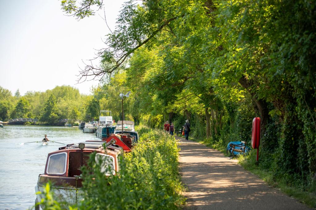 Canal tow path