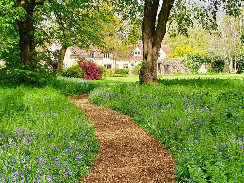 Blue Bell Woods
