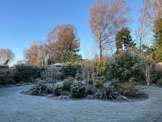 Garden 3.jpg