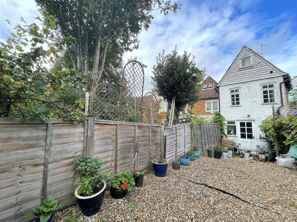 Garden (5).jpeg