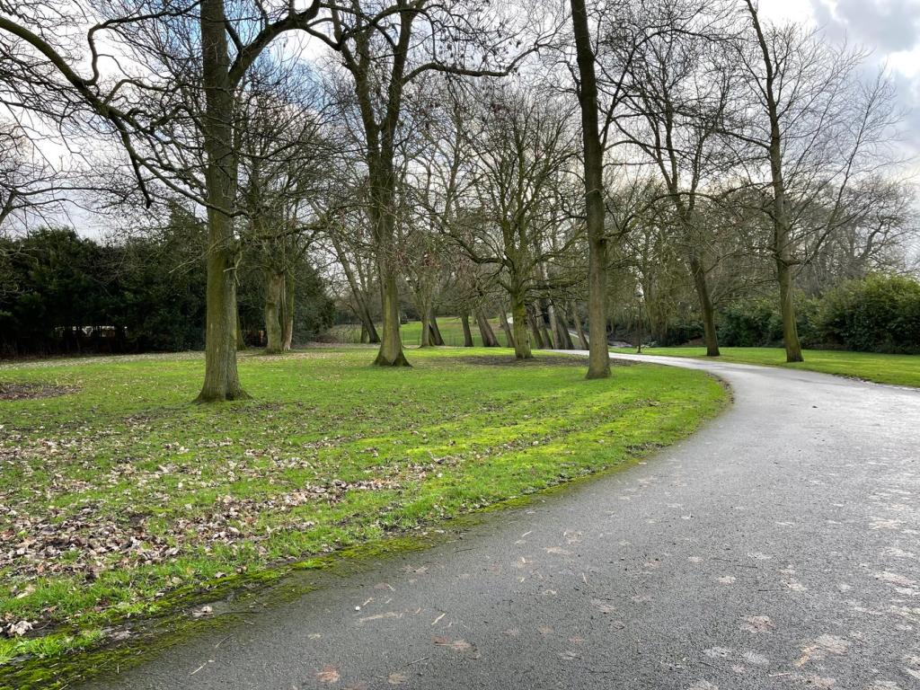 Driveway