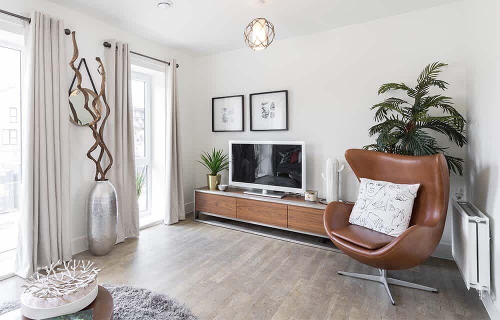 burgham-park-gardens-home-for-sale-buttercup-living-room