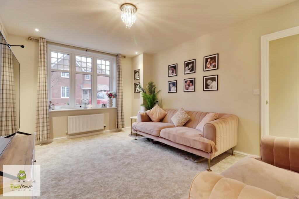 042a260a-IMG_3316-IMG_3318