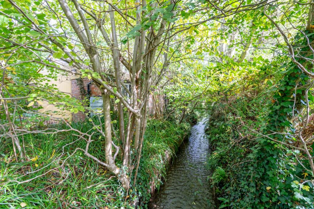 Woodland Area and Stream.jpg