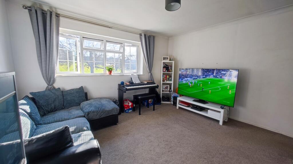 IMG_20250315_152824-2