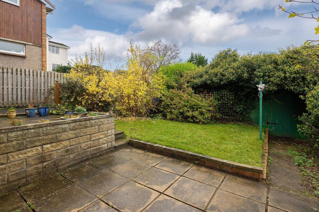 Back Garden