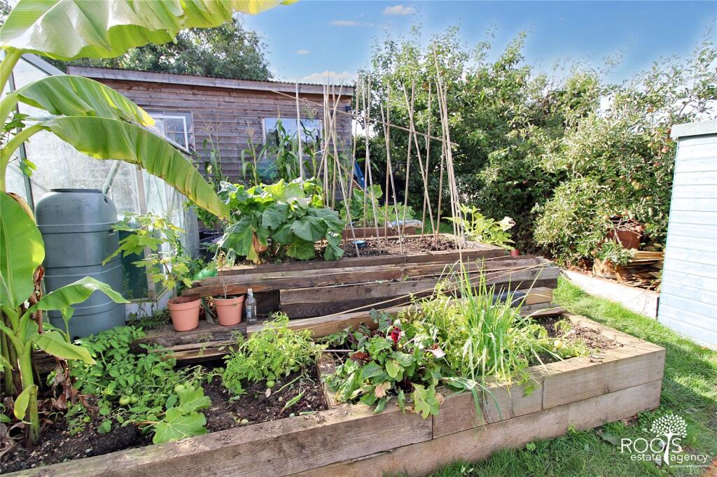 Veggie Patch