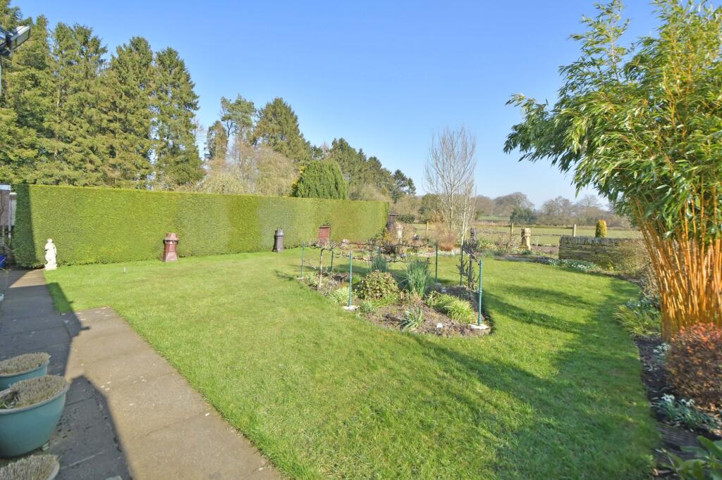 Rear garden