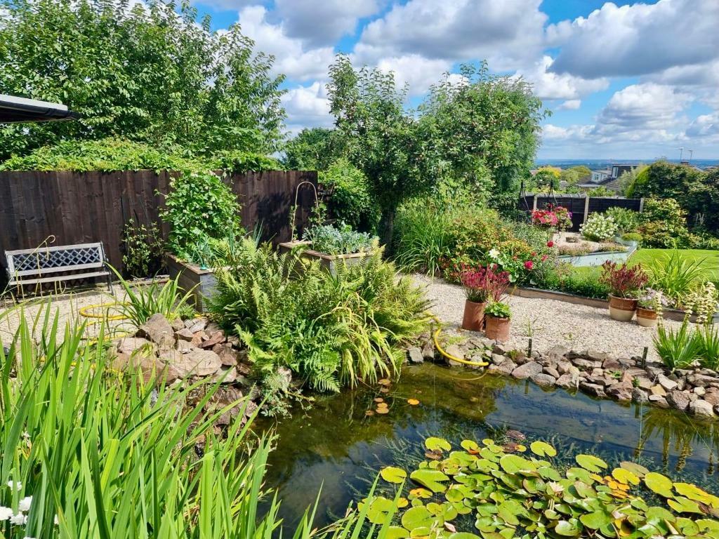Garden Pond