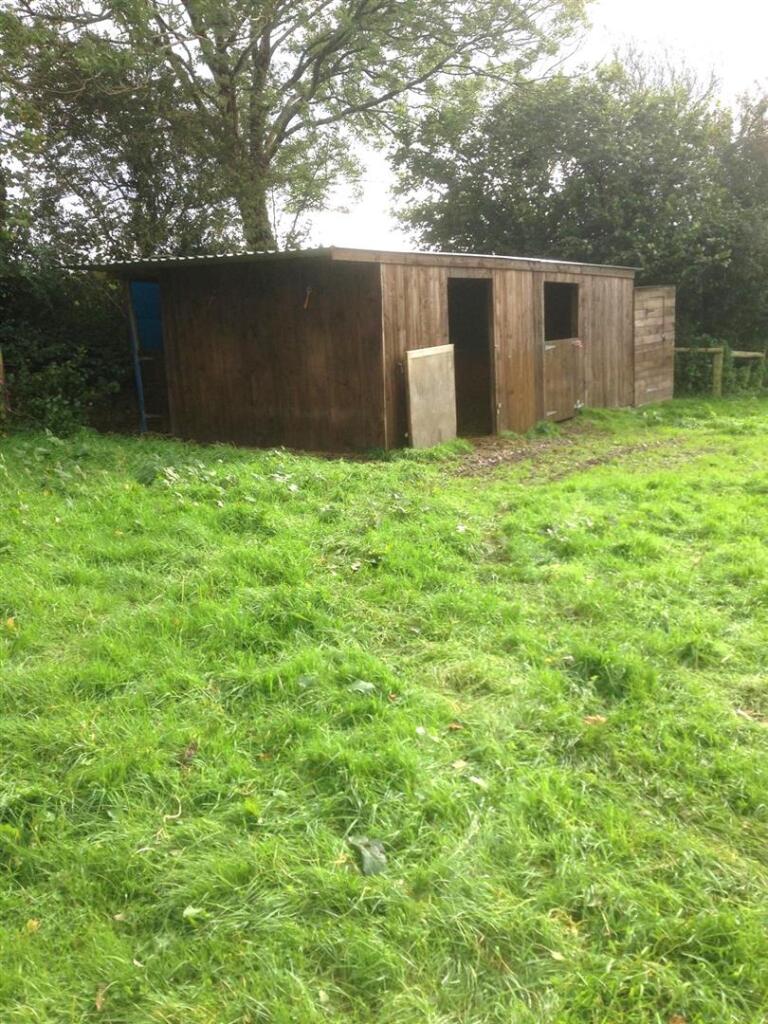 Before fencing in Summer.jpg