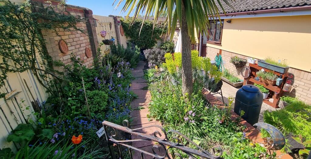 garden 3