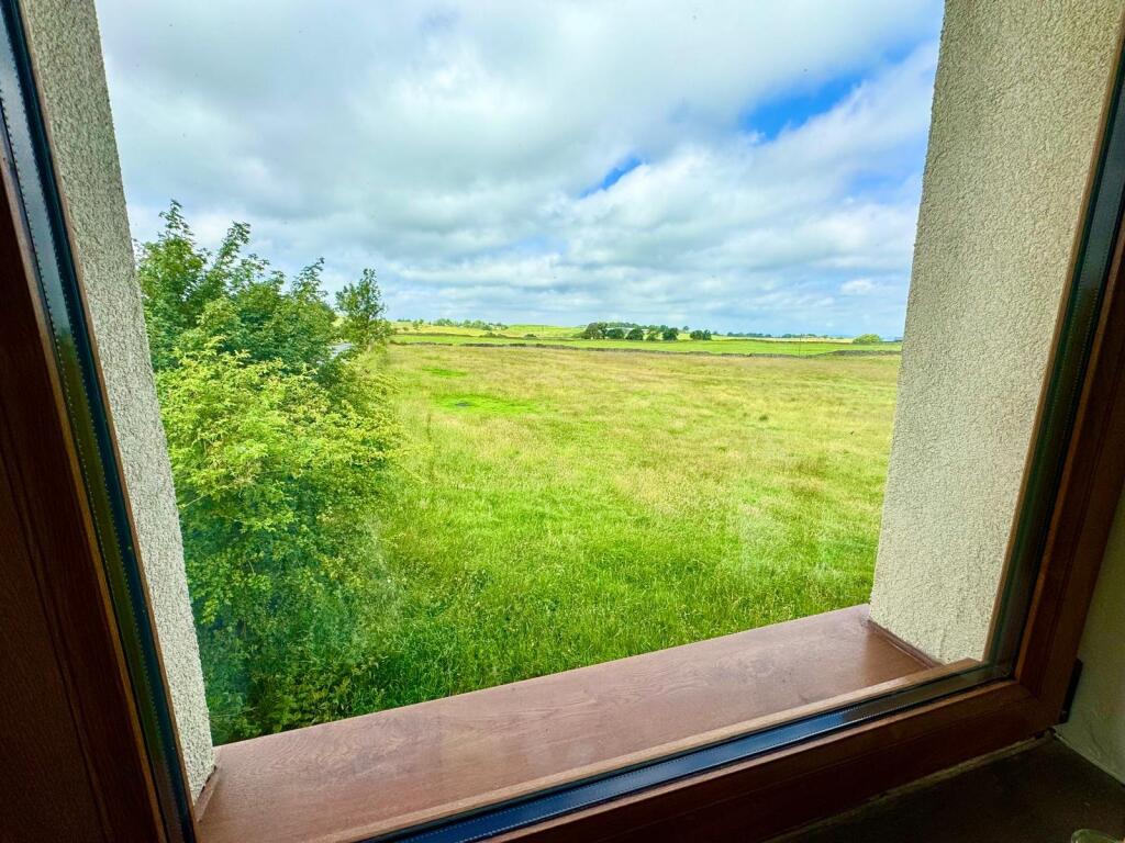 Viewsw
