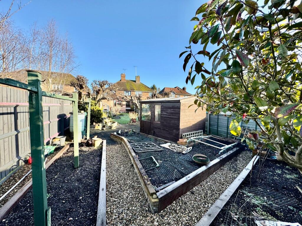Shed and Vegetable Plots 