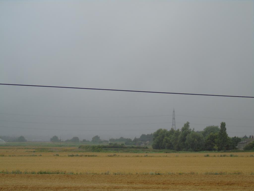 DSC01448_lge