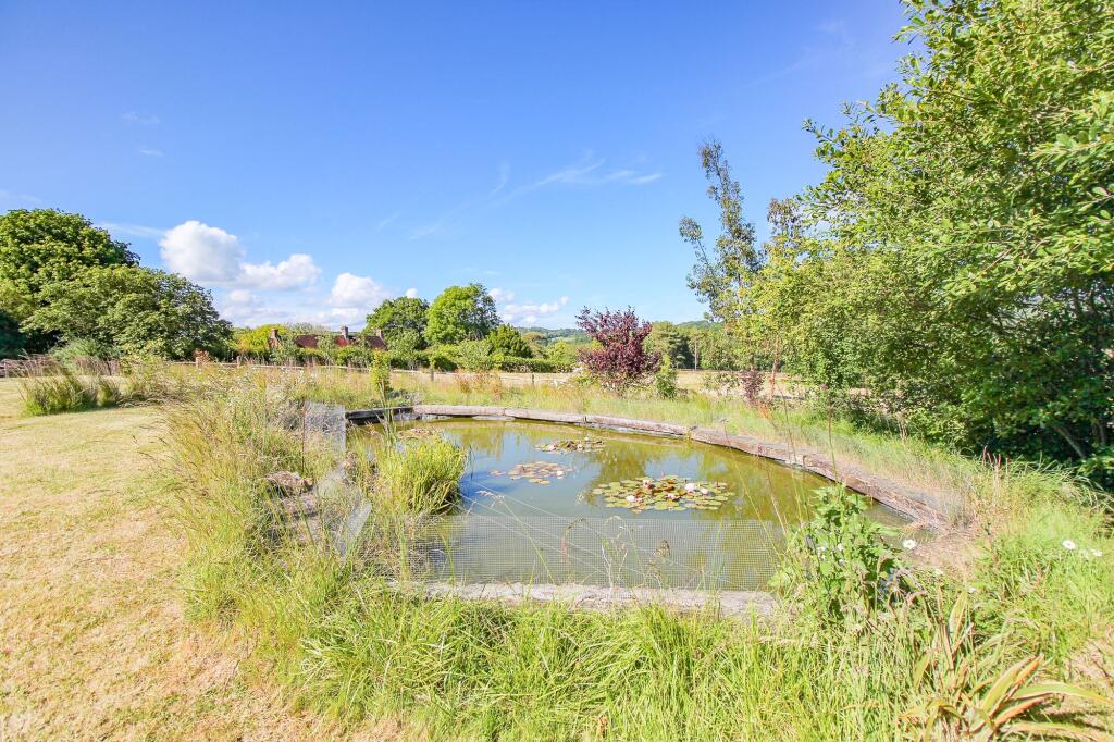 pond
