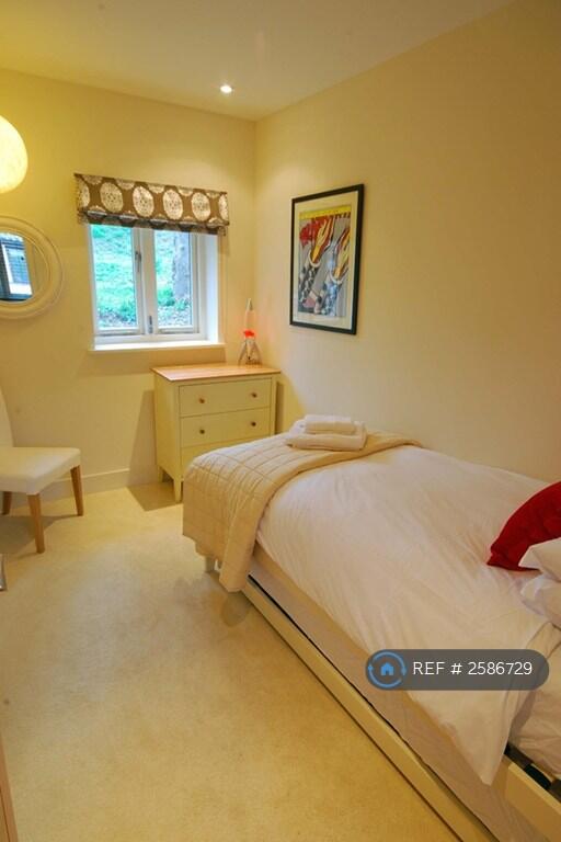 Single With Full Sized Pull Out Bed