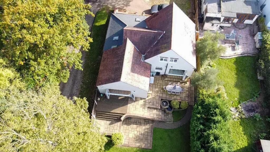 Drone - Citrus Grove5.JPG