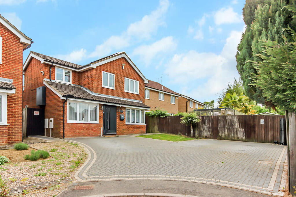 Front Aspect and ...