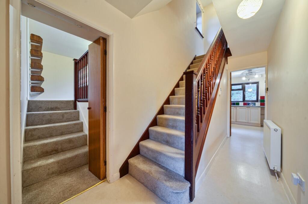 1393218-1-694058185475b-ARW-1