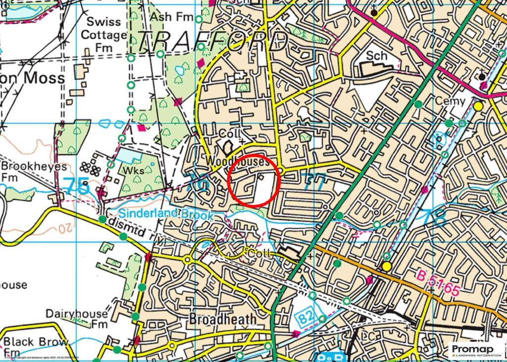 Town Plan