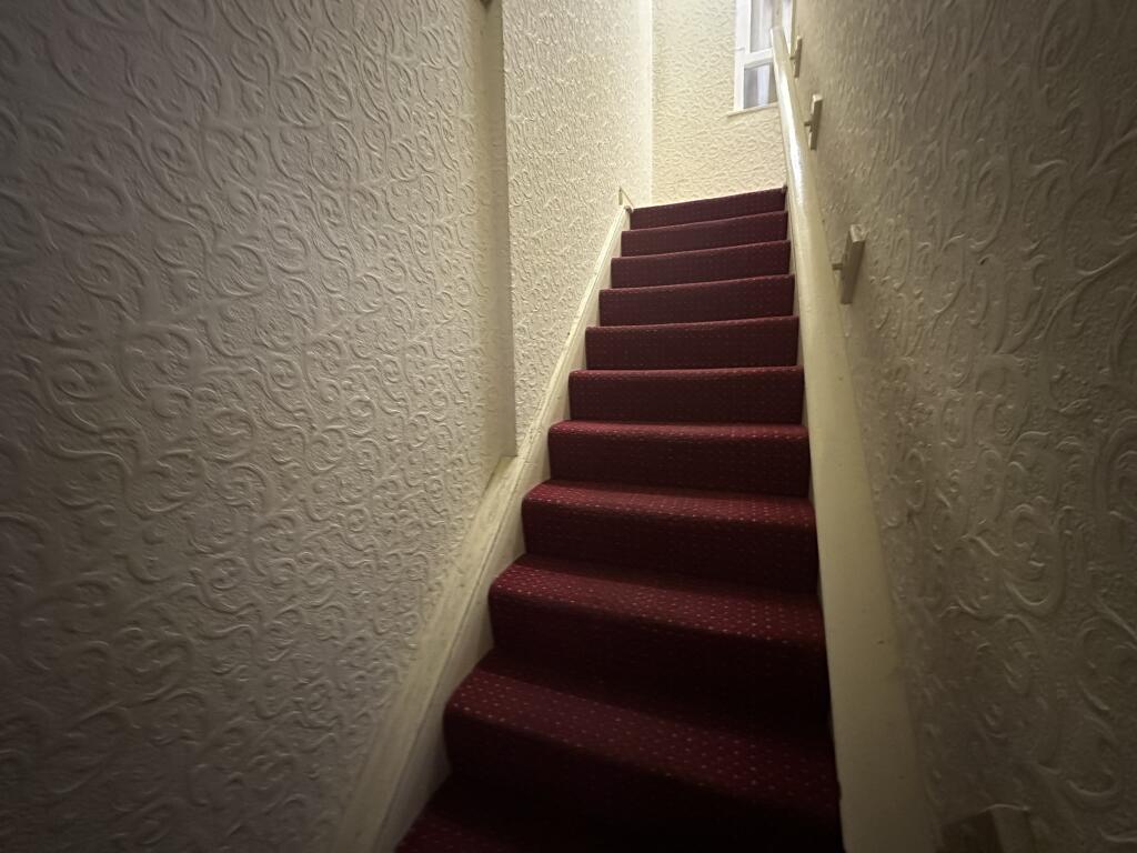 IMG 3566 T202509152243.jpeg