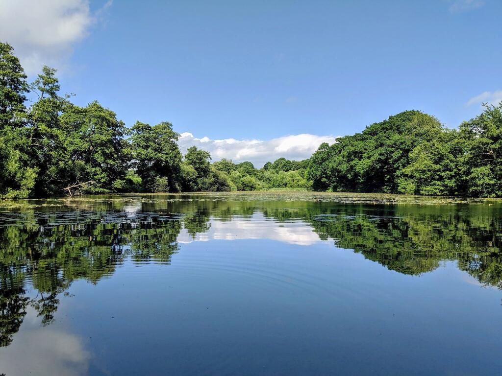 Bedelands Nature Reserve