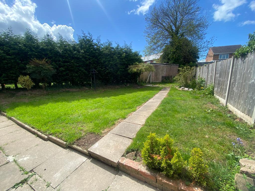 back garden.jpg