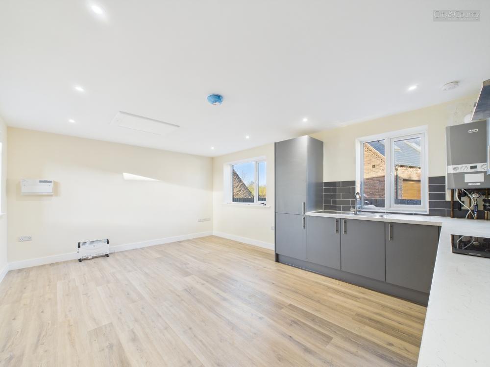 Kitchen/Living Room
