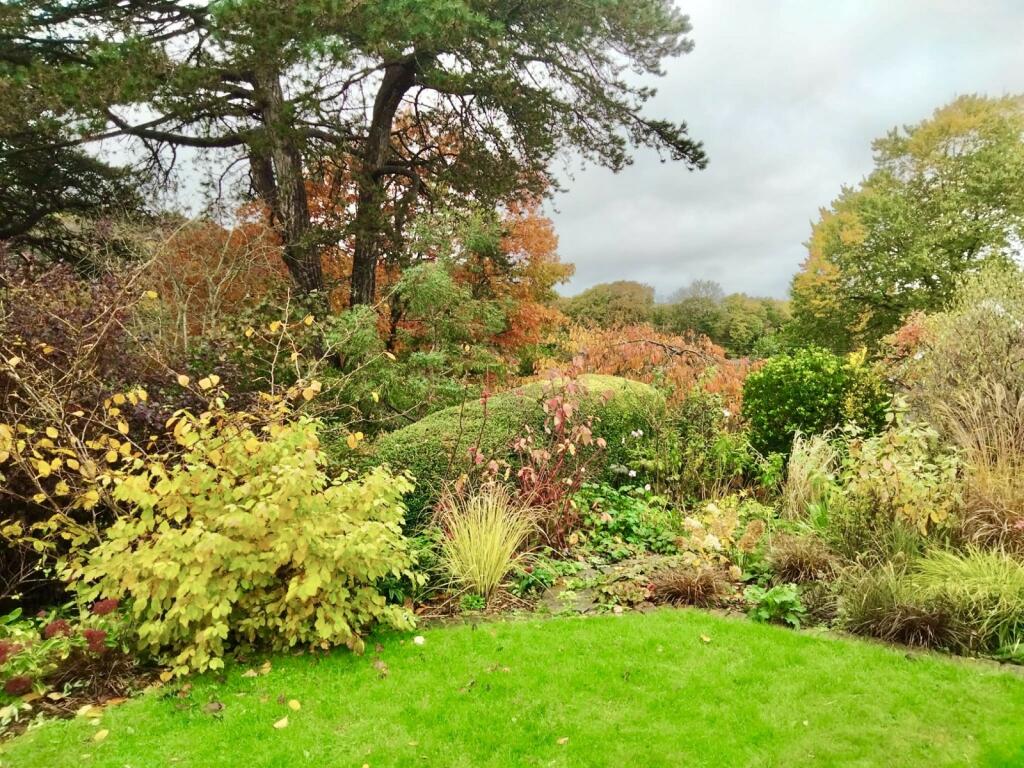 Grounds