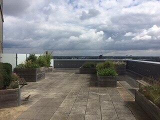Roof top garden