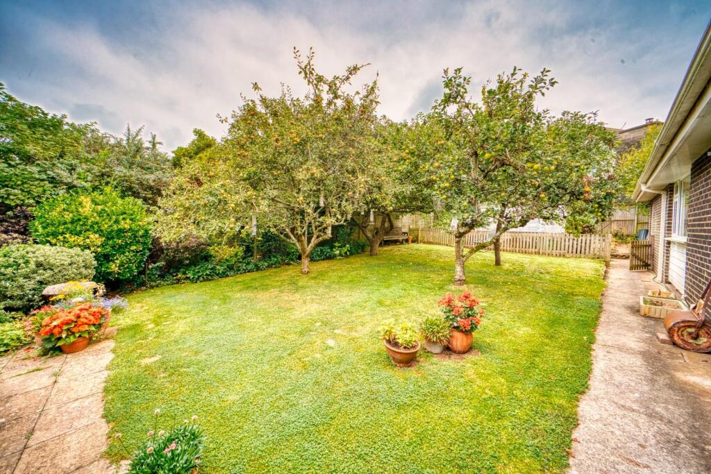 9 - rear garden.jpeg