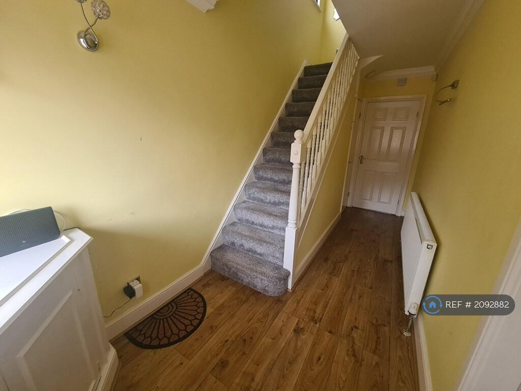 Downstairs Hallway