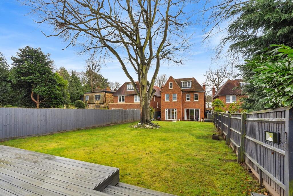 rear garden looking at house.jpeg