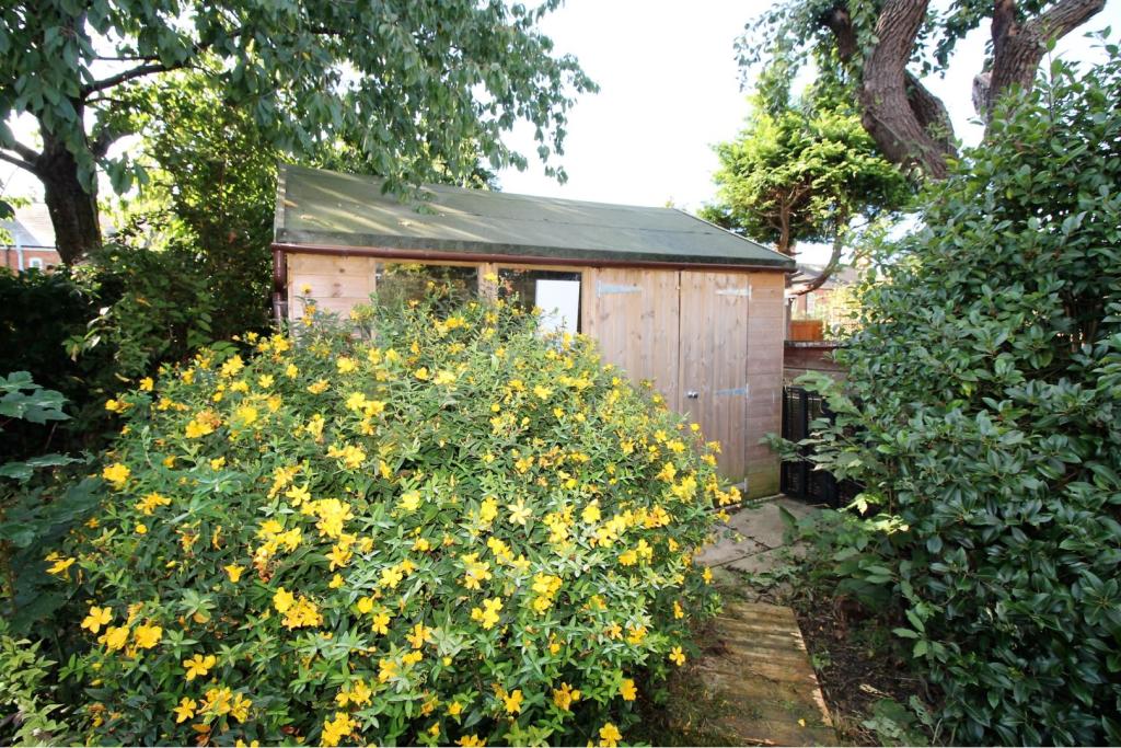 Shed