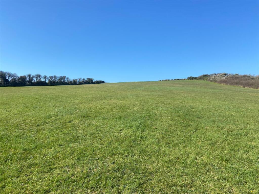 Open field to rear