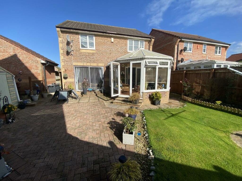 IMG_0596 (Large).JPG