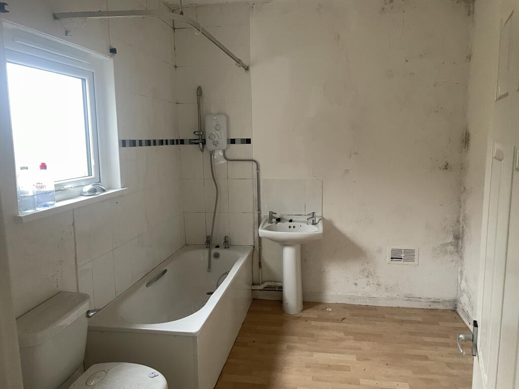 IMG 4503 T202501141309.jpeg